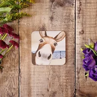 Lucy's Farm Donkey at Swanage Pier Melamine Coaster