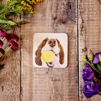 Lucy's Farm Ned the Spaniel Melamine Coaster