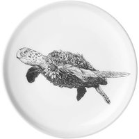 Maxwell & Williams Marini Ferlazzo Green Sea Turtle 20cm Plate