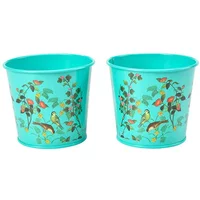 RHS Flora & Fauna Set of 2 Herb Pots 