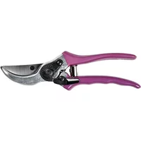 RHS Asteraceae Secateurs