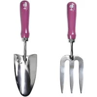 RHS Asteraceae Trowel and Fork Set