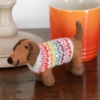 Pachamama Hoxton Harry The Dachshund