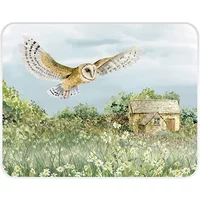 National Trust Barn Owl 30 x 40cm Worktop Protector