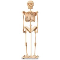 Quay Woodcraft Construction Kit Skeleton XL