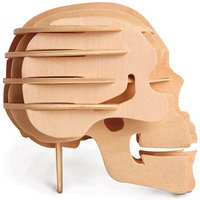 Quay Woodcraft Construction Kit Human Skull