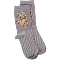 Wrendale Designs 'Hopeful' Labrador Socks One Size