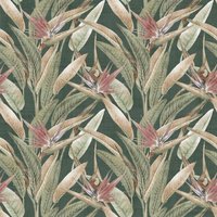 Soft Jungle Vines Deep Green Wallpaper - 1005 x 53cm