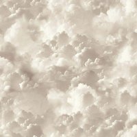 Vanilla Skies Neutral Wallpaper - 1005 x 53cm