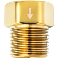 Handheld Shower Backflow Preventer - Polished Brass