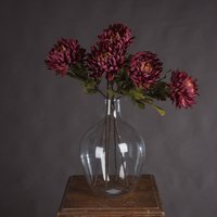 Click to view product details and reviews for Autumn Spider Chrysanthemum. Click to view product details and reviews for Autumn Spider Chrysanthemum.