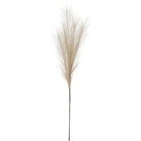 Click to view product details and reviews for Bleached Large Faux Pampas Grass Stem. Click to view product details and reviews for Bleached Large Faux Pampas Grass Stem.