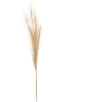 Click to view product details and reviews for Bleached Faux Pampas Grass Stem. Click to view product details and reviews for Bleached Faux Pampas Grass Stem.