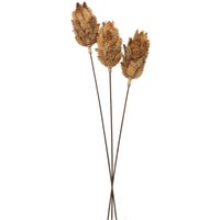 Click to view product details and reviews for Bouquet Of Dried Protea. Click to view product details and reviews for Bouquet Of Dried Protea.