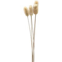 Click to view product details and reviews for Bouquet Of Dried Tall Thistle. Click to view product details and reviews for Bouquet Of Dried Tall Thistle.