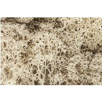 Woodland Scenics Natural Lichen