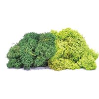 Hornby Lichen - Large Green Mix OO Gauge