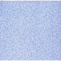 Blue Lace Wallpaper for 12th Scale Dolls House