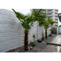 Betonzaun Fencestone grau 200x193cm doppelseitig Betonzaun Fencestone grau 200x193cm doppelseitig