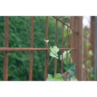 Mattenzaun Betonstahlmatten Baustahlmatten rost 2x3m 6/100mm Mattenzaun Betonstahlmatten Baustahlmatten rost 2x3m 6/100mm