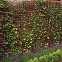 Mattenzaun Betonstahlmatten verzinkt 180x180cm 5/150mm Mattenzaun Betonstahlmatten verzinkt 180x180cm 5/150mm