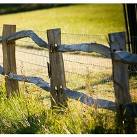 Koppelzaun 2,0×2,5m Koppelzaun 2,0×2,5m