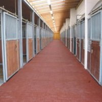 Stallmatten Pferdestallmatten Intergard - Test, Erfahrungen & Kaufberatung 2026