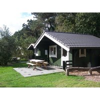 Holzhaus Ferienhäuser Blockhaus Harvard 4.97×4.57m (50mm) – 22.71 qm Wandstärke: 50 mm Holzhaus Ferienhäuser Blockhaus Harvard 4.97×4.57m (50mm) – 22.71 qm Wandstärke: 50 mm