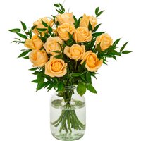 12 Peach Roses image