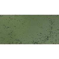Art Spectrum : Soft Pastel : Green Grey P (Pure)