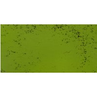 Art Spectrum : Soft Pastel : Australian Leaf Green Light P (Pure)