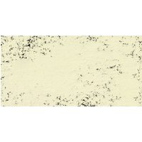 Art Spectrum : Soft Pastel : Yellow Ochre X (Extra Tinted)