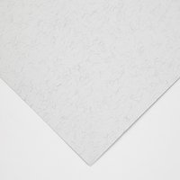 Clairefontaine : Ingres : Pastel Paper : Sheet : 50x65cm : Pale Grey