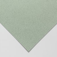 Clairefontaine : Ingres : Pastel Paper : Sheet : 50x65cm : Grey