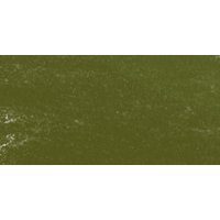 Mount Vision : Soft Pastel : Green Earth 282