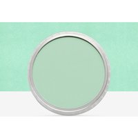 PanPastel : Pearlescent Green