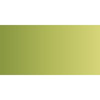 ShinHan : Premium Extra Fine Watercolour Paint : 15ml : Terre Verte (Yellow Shade)