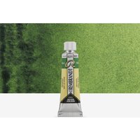 Royal Talens : Rembrandt Watercolour Paint : 10ml : Sap Green