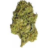 Blue Zlushie Flower - THCA - Hybrid