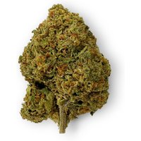 Buy from Edobles, LLC