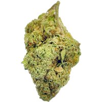Durban Poison Flower - THCA - Sativa