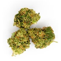 Fire OG Flower - THCA - Hybrid