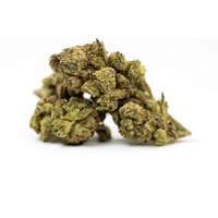 Gelato Haze Flower - THCA - Hybrid