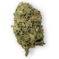 Head Band Flower - THCA - Hybrid