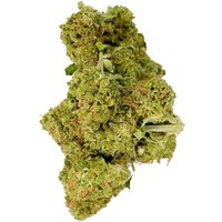 Jet Fuel Gelato Flower - THCA - Sativa