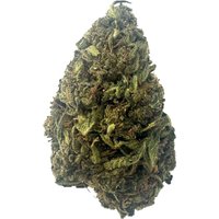 Purple Star Diesel Flower - THCA - Hybrid