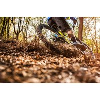 Mountainbike Grundkurs Viechtach Mountainbike Grundkurs Viechtach