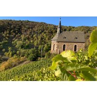 Weinbergwanderung Lorch Weinbergwanderung Lorch