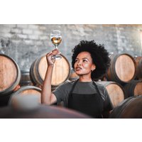 Weinseminar für Genießer Münster Weinseminar für Genießer Münster