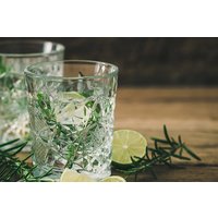 Gin Tasting in Stuttgart (9 Premium Gins) Gin Tasting in Stuttgart (9 Premium Gins)